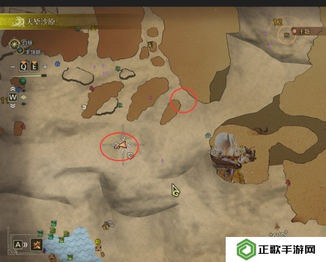 《怪物猎人：荒野》捕获足迹蜥蜴攻略分享