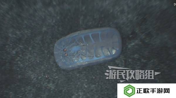 怪物猎人荒野大虚无动在哪捕获    大虚无动捕获攻略图片8