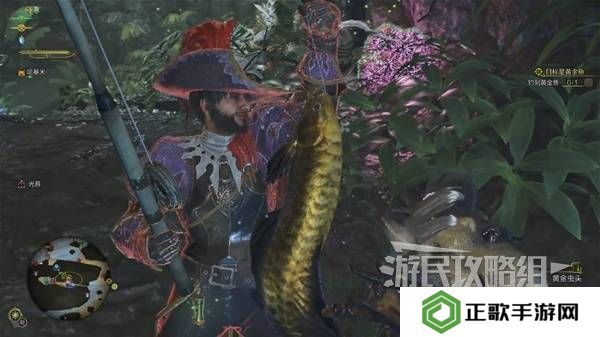 怪物猎人荒野黄金鱼怎么钓    钓黄金鱼位置一览图片6