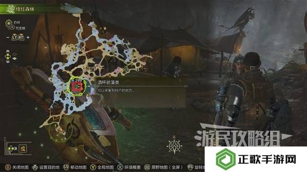 怪物猎人荒野黄金鱼怎么钓    钓黄金鱼位置一览图片3
