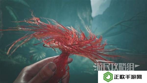 怪物猎人荒野攻略总汇   全章节任务流程攻略图片36