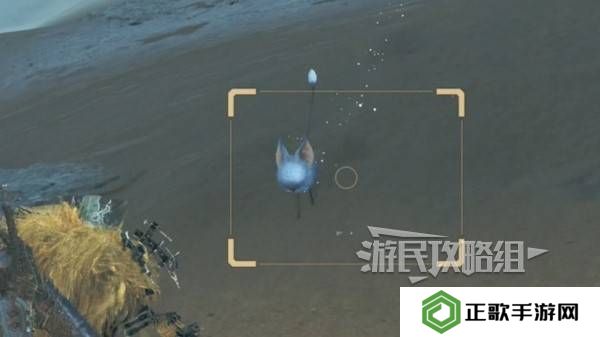怪物猎人荒野沙野流星位置在哪   沙野流星位置