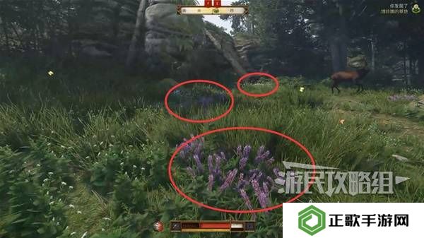天国拯救2图文攻略大全   所有任务全流程攻略总汇图片29