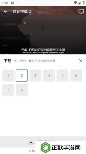 雪豹视频图片6