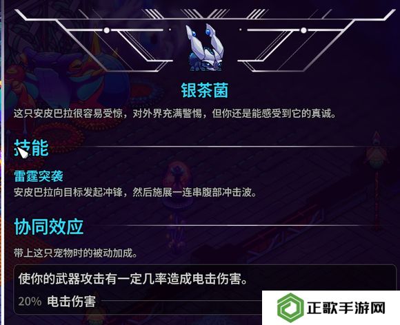 崩溃大陆2宠物图鉴攻略大全   全部宠物技能