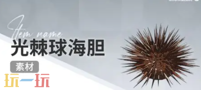 开放空间赶海物什么时候出现 赶海物出现时间介绍