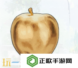 开放空间贝海姆世界收藏品有哪些 贝海姆世界收藏品汇总