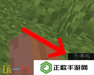 我的世界右下角声音提示怎么开 画面提示字幕开启方法